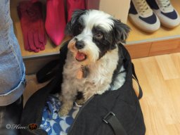 Boutique Must have  28.11.2025